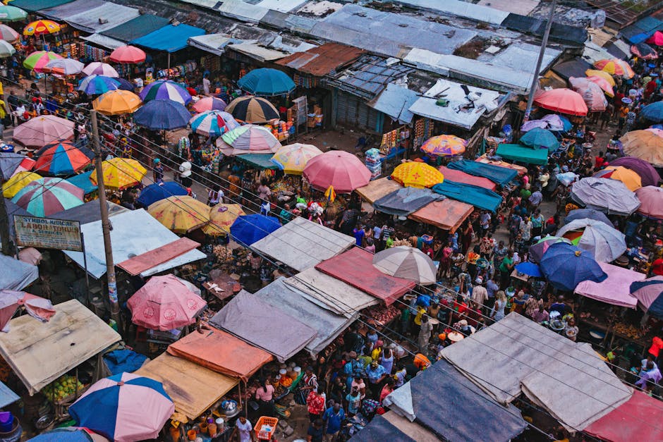 The Gulf's Digital Government Race: Lessons for the African Context